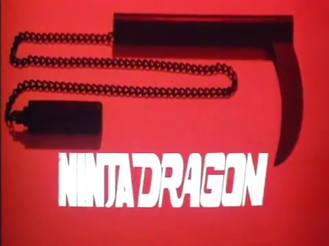 Ninja Dragon 1986.png